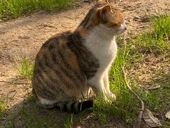 -狼山风景名胜区