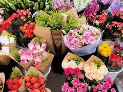 -三圣花乡旅游区