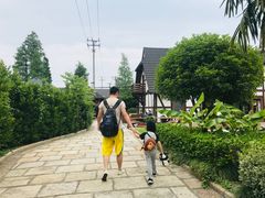 -金山农民画村-枫泾波兰倒置屋