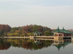 -鞠氏黑芝麻糊(水塔店)