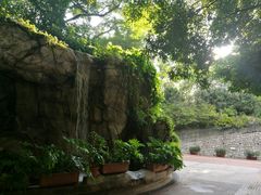 -九龙公园