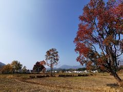 -塔川景区