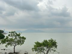 -深圳湾公园(南山区)