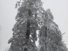 -瓦屋山景区