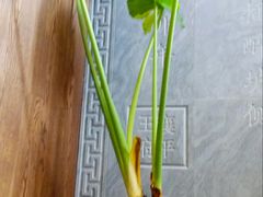 -王府茶宴(大观园总店)