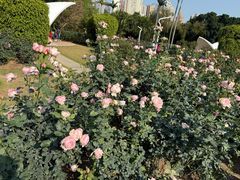 -人民公园(罗湖区)