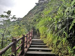 -羚羊峡古栈道森林公园