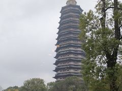 -听松楼·花园酒店·自助餐厅(红梅公园店)