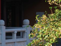 -灵谷景区