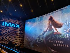 -武商摩尔影城(国广IMAX激光店)