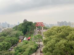 -黄鹤楼