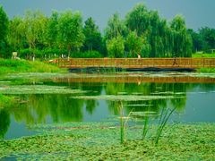 -东郊湿地公园