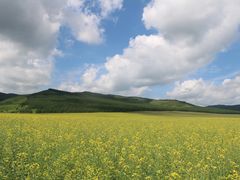 -阿尔山市大兴安岭奥伦布坎景区
