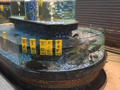 -晶莹品鲜.顺德鱼生.特色桑拿菜