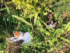 -苏州河梦清园环保主题公园