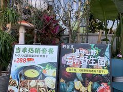 -野菌皇海景野生菌火锅(滨海大道店)
