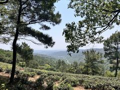 -东山风景区(洞庭东山)