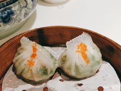 鲜虾香茜饺-虾饺妹·酒家(金碧店)