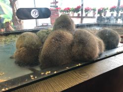 -未来动物城主题公园(正弘城店)