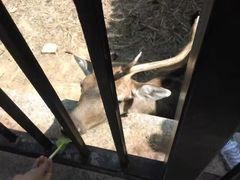 -南昌动物园