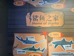 -成都浩海立方海洋公园