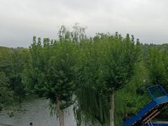 -太阳岛度假酒店