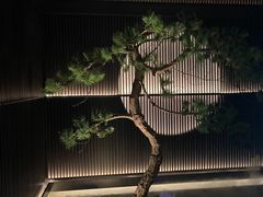 -大拙里·精致融合菜(沙湖桃源国际店)
