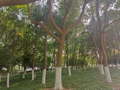 -天鹅湖体育公园