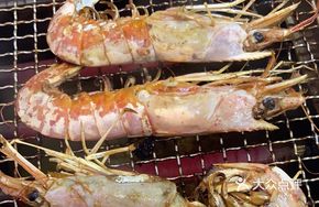 Unlimited Argentine Red Shrimp