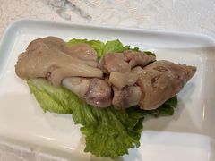-丁老爷子苏香圆