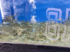 -李东农庄(中南百草园地标店)