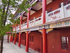 -长沙黑麋峰国家森林公园