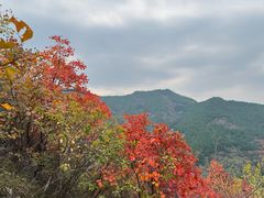 -青州仰天山