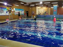 -梧桐阳光国际游泳健身会所(亚运村店)