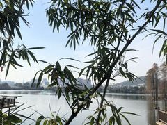 -东湖食堂·湖景餐厅•会议