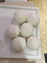 香影榴莲-舒友海鲜大酒楼·宴会厅(白鹭洲旗舰店)