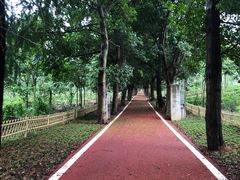 -帐篷客·溪龙茶谷度假酒店