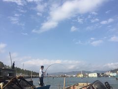 -盐洲岛