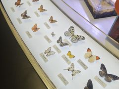 -中国湿地博物馆