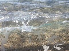-青岛第一海水浴场