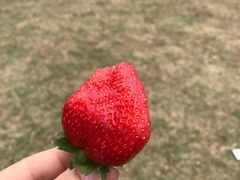 -东莞植物园