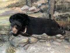 -北京动物园-畅观楼