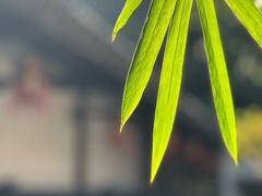 -包公祠