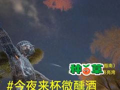 -瑞虹新天地月亮湾