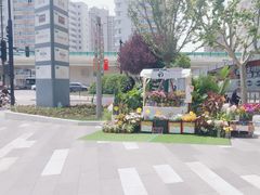 -飞洲国际广场