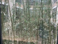 -真爱年华水疗健康运动中心(朱雀大街店)