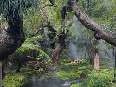 -Chom Cafe and Restaurant