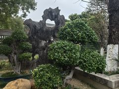 -碧江金楼