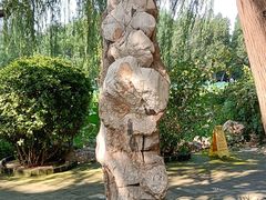 -莲池书院博物馆