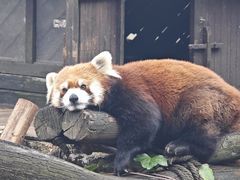 -云南野生动物园